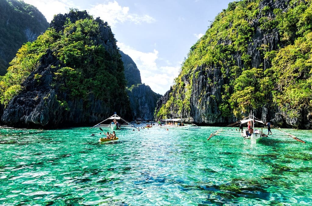 Bohol Whaleshark Watching Tour