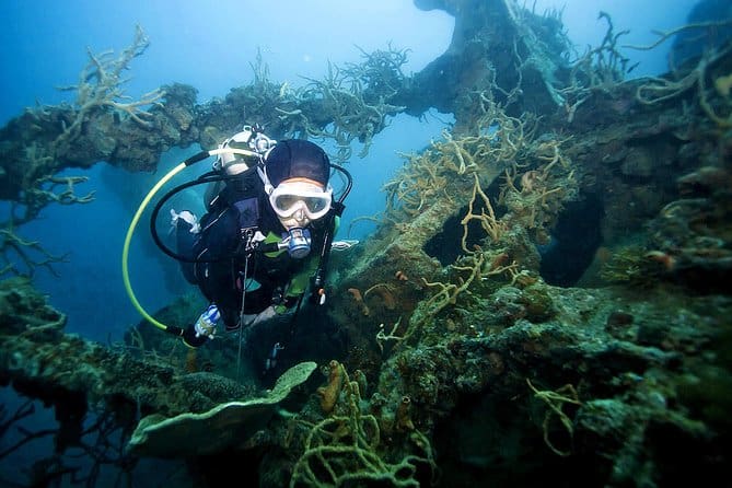 Coron Reefs and Wreck Tour